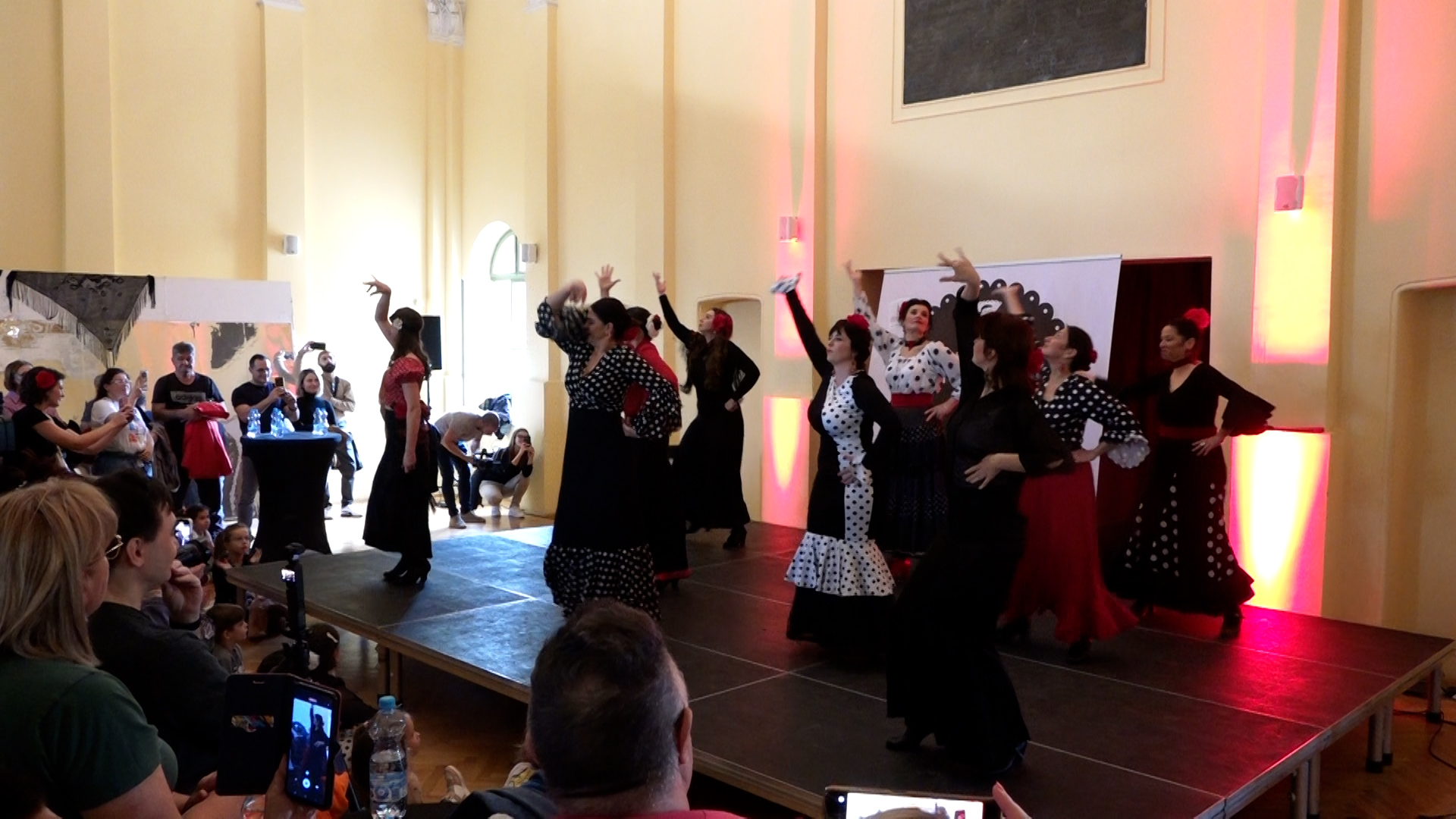 Novi Sad, prvi Medjunarodni flamenko festival u Srbiji, povodom obelezavanja Svetskog dana flamenka, pokrivanje